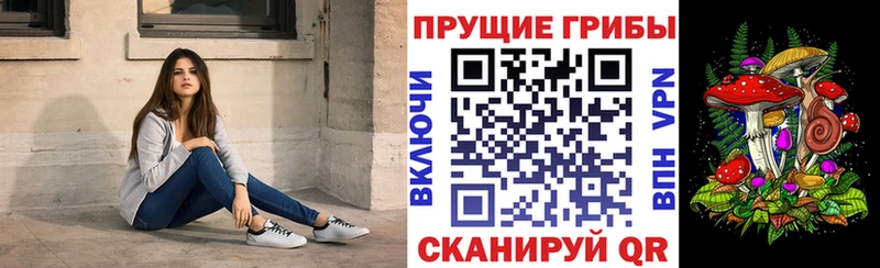 Галлюциногенные грибы GOLDEN TEACHER кракен tor Соликамск