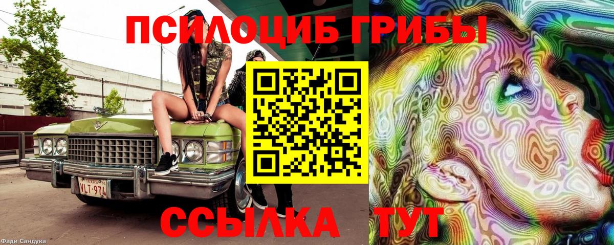 Псилоцибиновые грибы Cubensis Соликамск